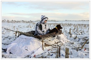 Jäger mit Wachtelhund im Layoutblind auf verschneitem Maisstoppel